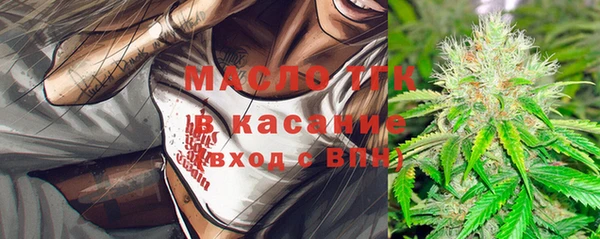 молекула духа Гвардейск