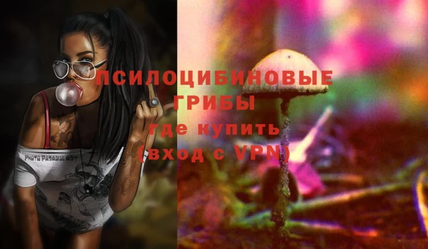 ГАЛЛЮЦИНОГЕННЫЕ ГРИБЫ Алзамай